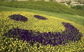 Happiness Always Brings Smile to your face. Something you can share with everyone as in the case of this flower bed.